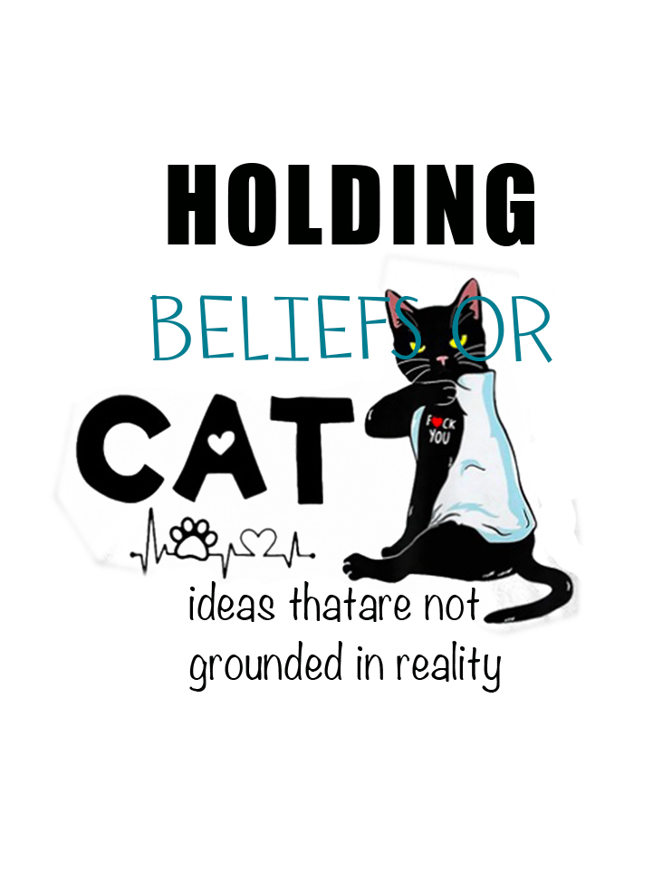 holding beliefs or ideas that are not grounded in reality SCZ T-Shirt